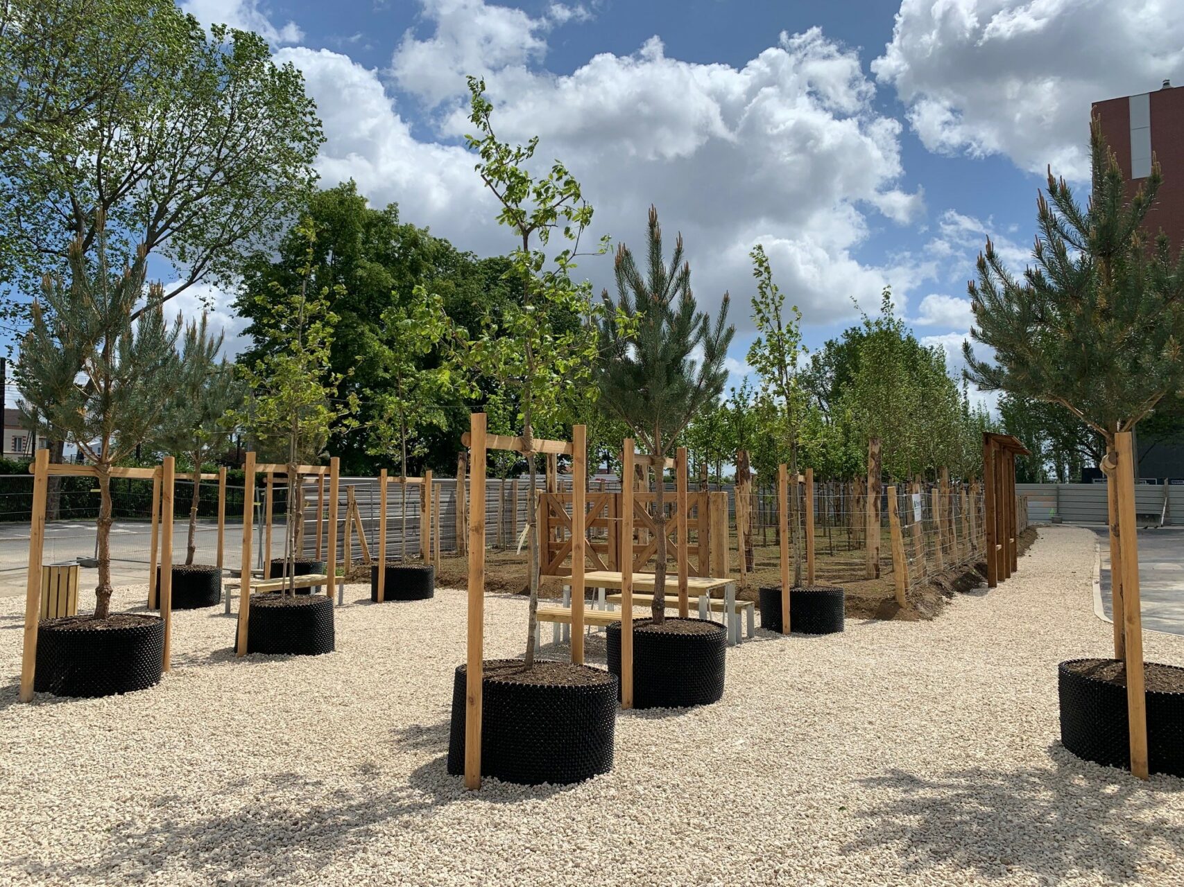 Devenez parrain d’un arbre de la future Agrocité Gagarine